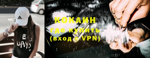 ПСИЛОЦИБИНОВЫЕ ГРИБЫ Алзамай