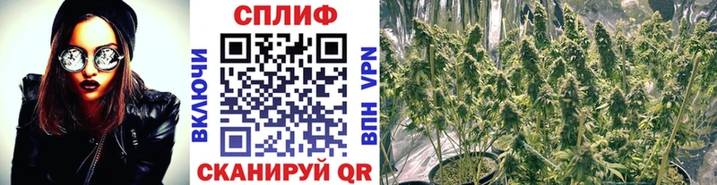 Конопля THC 21%  купить закладку  Ладушкин 